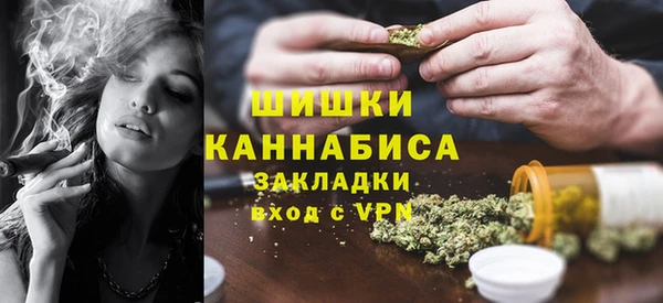 spice Козловка