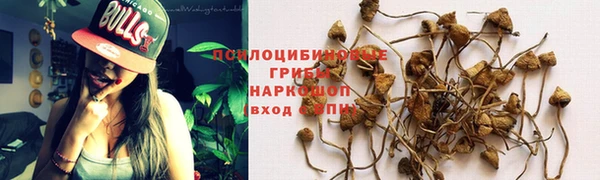 spice Козловка